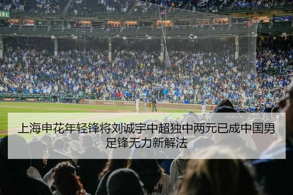 上海申花年轻锋将刘诚宇中超独中两元已成中国男足锋无力新解法
